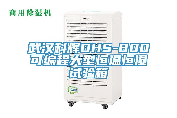 武汉科辉DHS-800可编程大型恒温恒湿试验箱