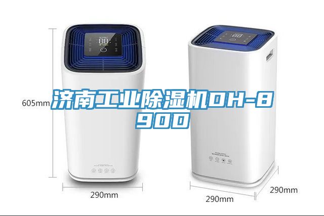 济南工业杏仁直播app最新版下载DH-890D