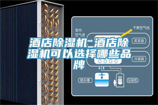 酒店杏仁直播app最新版下载_酒店杏仁直播app最新版下载可以选择哪些品牌