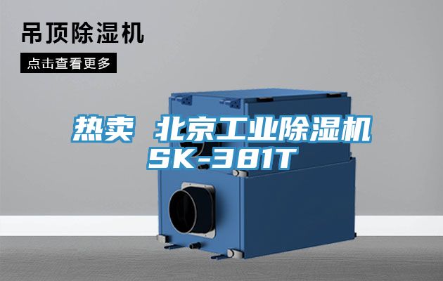 热卖 北京工业杏仁直播app最新版下载SK-381T