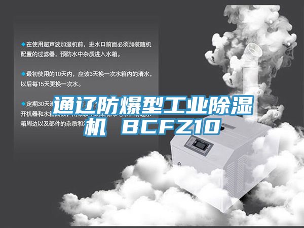 通辽防爆型工业杏仁直播app最新版下载 BCFZ10