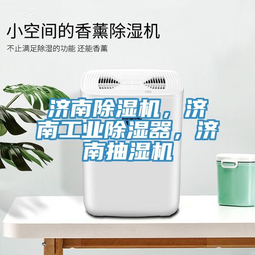 济南杏仁直播app最新版下载，济南工业除湿器，济南抽湿机