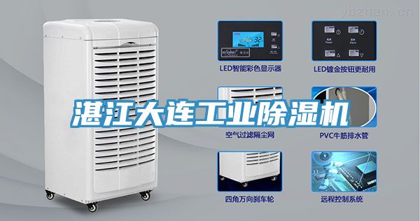 湛江大连工业杏仁直播app最新版下载