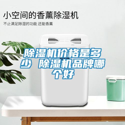 杏仁直播app最新版下载价格是多少 杏仁直播app最新版下载品牌哪个好