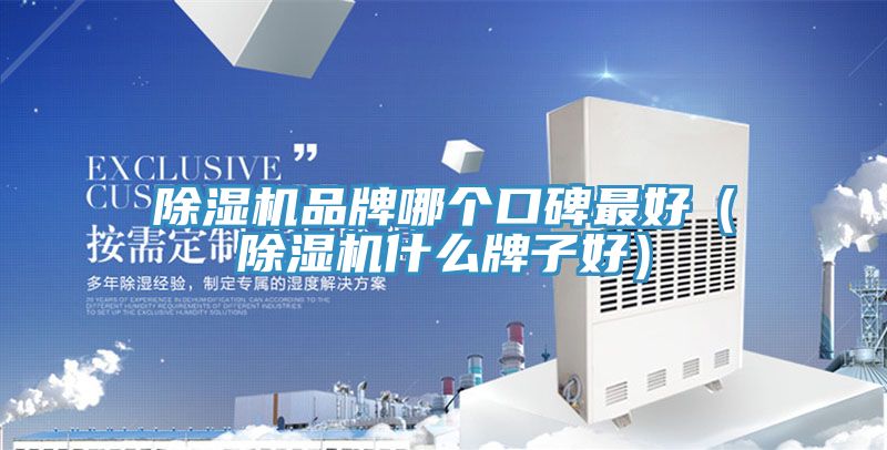 杏仁直播app最新版下载品牌哪个口碑最好（杏仁直播app最新版下载什么牌子好）