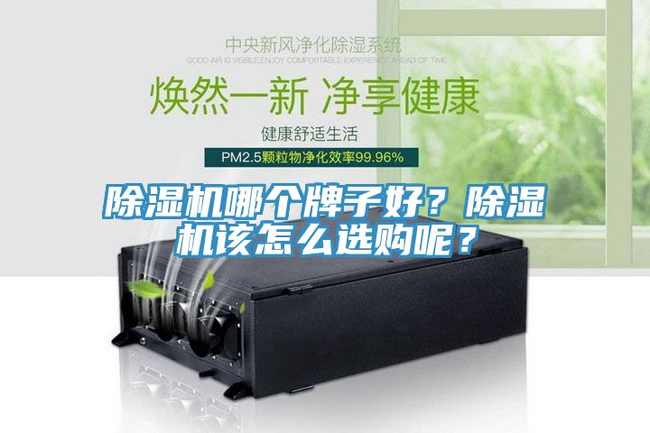 杏仁直播app最新版下载哪个牌子好？杏仁直播app最新版下载该怎么选购呢？