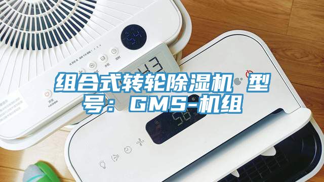 组合式转轮杏仁直播app最新版下载 型号：GMS-机组