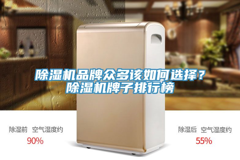 杏仁直播app最新版下载品牌众多该如何选择？杏仁直播app最新版下载牌子排行榜