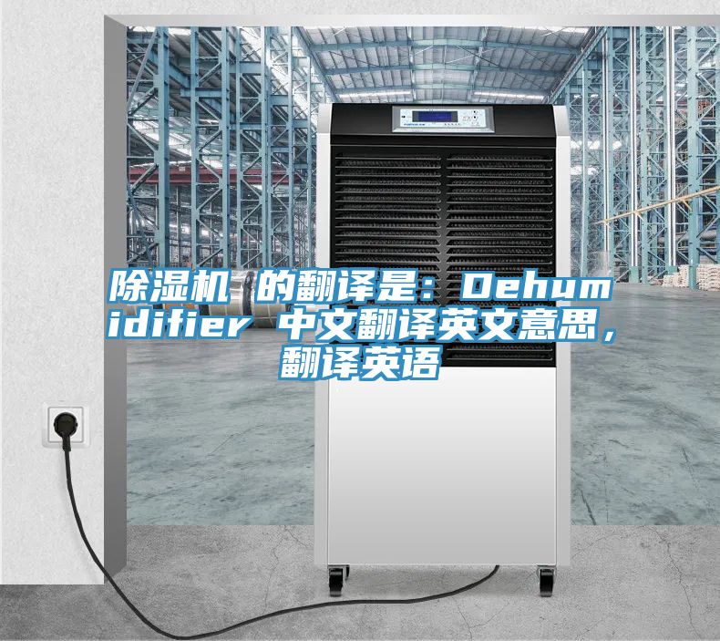 杏仁直播app最新版下载 的翻译是：Dehumidifier 中文翻译英文意思，翻译英语