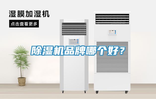 杏仁直播app最新版下载品牌哪个好？