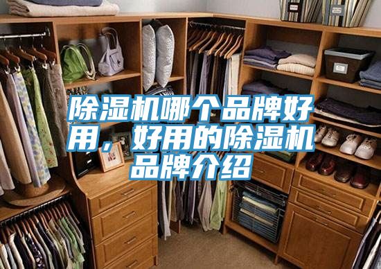 杏仁直播app最新版下载哪个品牌好用，好用的杏仁直播app最新版下载品牌介绍