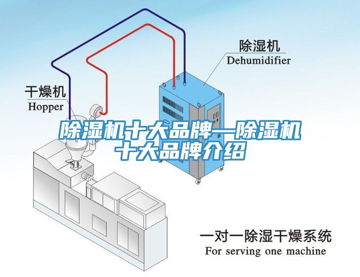 杏仁直播app最新版下载十大品牌—杏仁直播app最新版下载十大品牌介绍