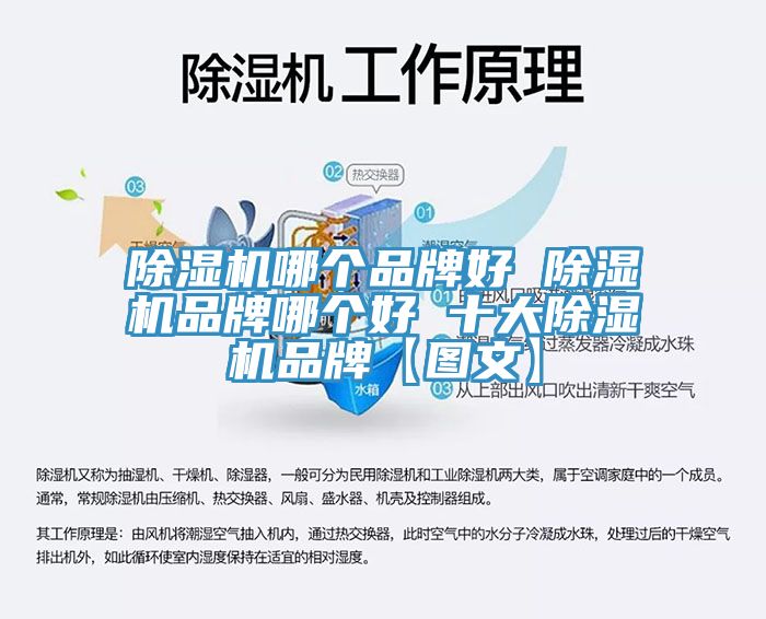 杏仁直播app最新版下载哪个品牌好 杏仁直播app最新版下载品牌哪个好 十大杏仁直播app最新版下载品牌【图文】