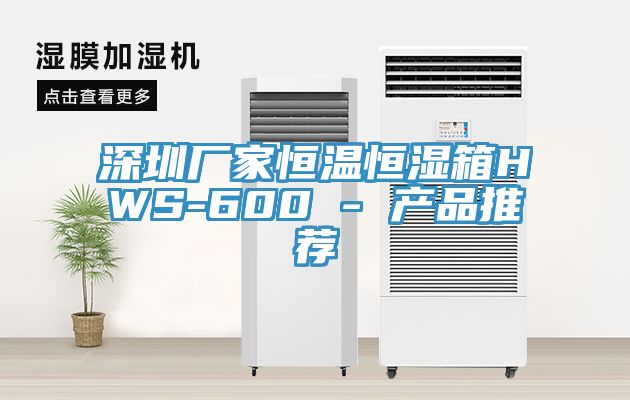 深圳厂家恒温恒湿箱HWS-600 - 产品推荐