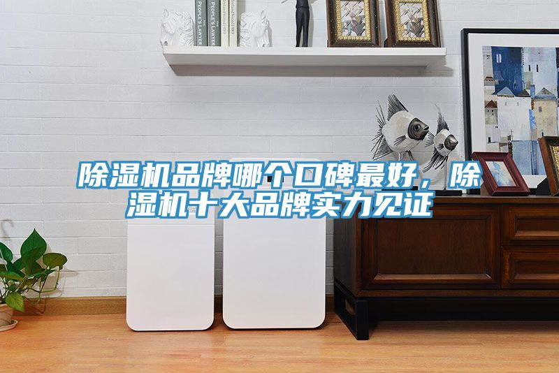 杏仁直播app最新版下载品牌哪个口碑最好，杏仁直播app最新版下载十大品牌实力见证