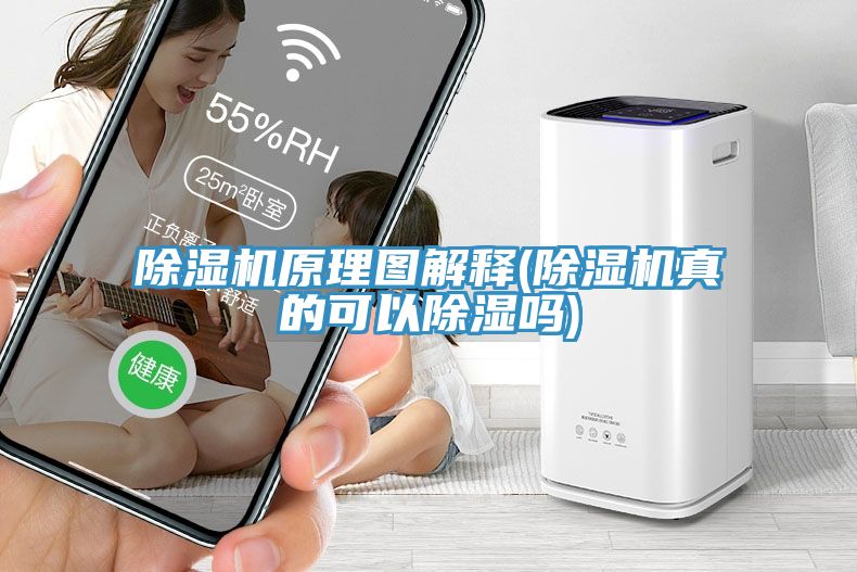 杏仁直播app最新版下载原理图解释(杏仁直播app最新版下载真的可以除湿吗)