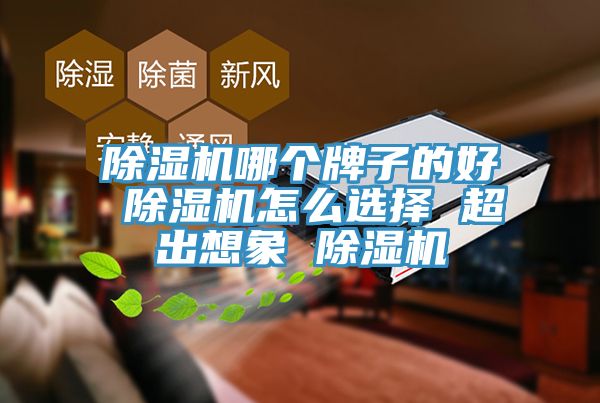 杏仁直播app最新版下载哪个牌子的好 杏仁直播app最新版下载怎么选择 超出想象 杏仁直播app最新版下载