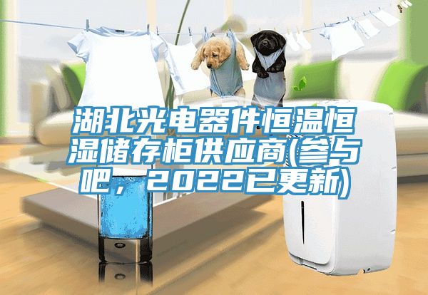 湖北光电器件恒温恒湿储存柜供应商(参与吧，2022已更新)