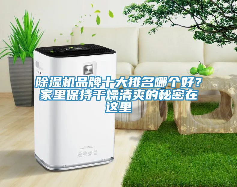 杏仁直播app最新版下载品牌十大排名哪个好？家里保持干燥清爽的秘密在这里