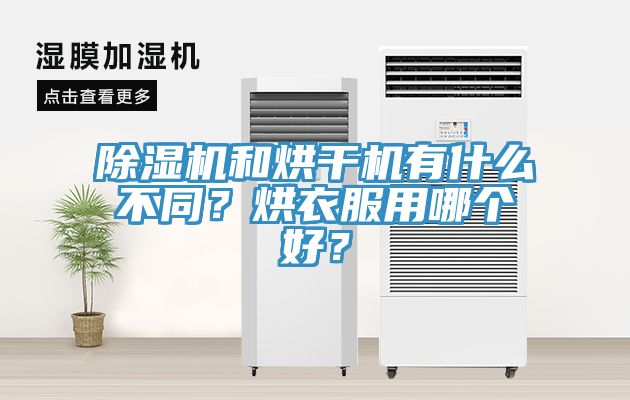 杏仁直播app最新版下载和烘干机有什么不同？烘衣服用哪个好？