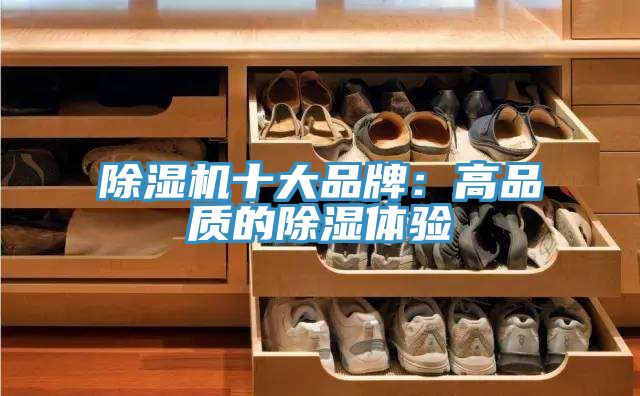 杏仁直播app最新版下载十大品牌：高品质的除湿体验