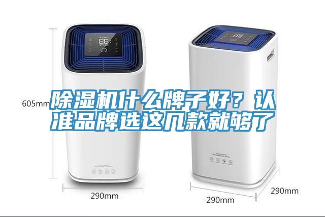 杏仁直播app最新版下载什么牌子好？认准品牌选这几款就够了