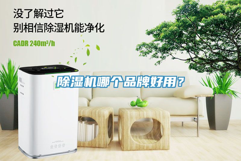 杏仁直播app最新版下载哪个品牌好用？