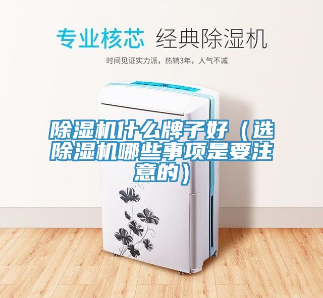 杏仁直播app最新版下载什么牌子好（选杏仁直播app最新版下载哪些事项是要注意的）