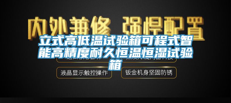 立式高低温试验箱可程式智能高精度耐久恒温恒湿试验箱