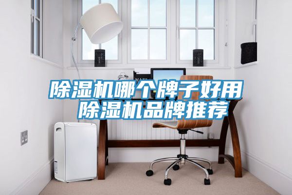 杏仁直播app最新版下载哪个牌子好用 杏仁直播app最新版下载品牌推荐