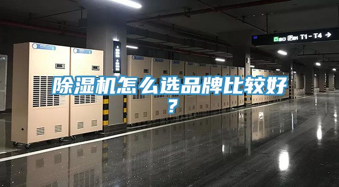 杏仁直播app最新版下载怎么选品牌比较好？