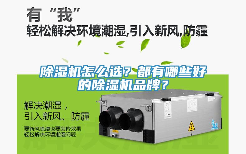 杏仁直播app最新版下载怎么选？都有哪些好的杏仁直播app最新版下载品牌？