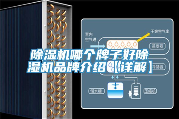 杏仁直播app最新版下载哪个牌子好杏仁直播app最新版下载品牌介绍【详解】