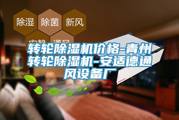 转轮杏仁直播app最新版下载价格-青州转轮杏仁直播app最新版下载-安适德通风设备厂