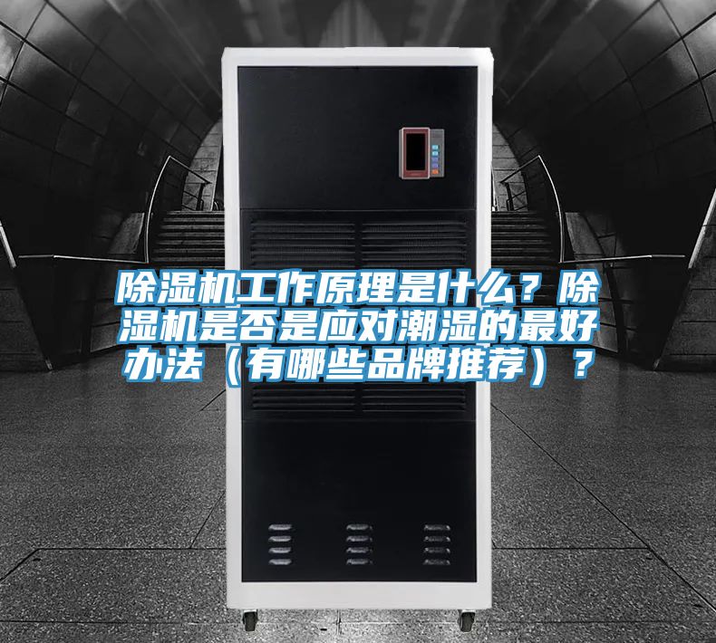 杏仁直播app最新版下载工作原理是什么？杏仁直播app最新版下载是否是应对潮湿的最好办法（有哪些品牌推荐）？