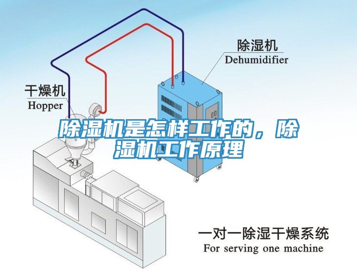 杏仁直播app最新版下载是怎样工作的，杏仁直播app最新版下载工作原理