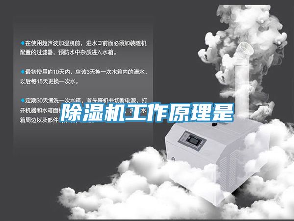 杏仁直播app最新版下载工作原理是