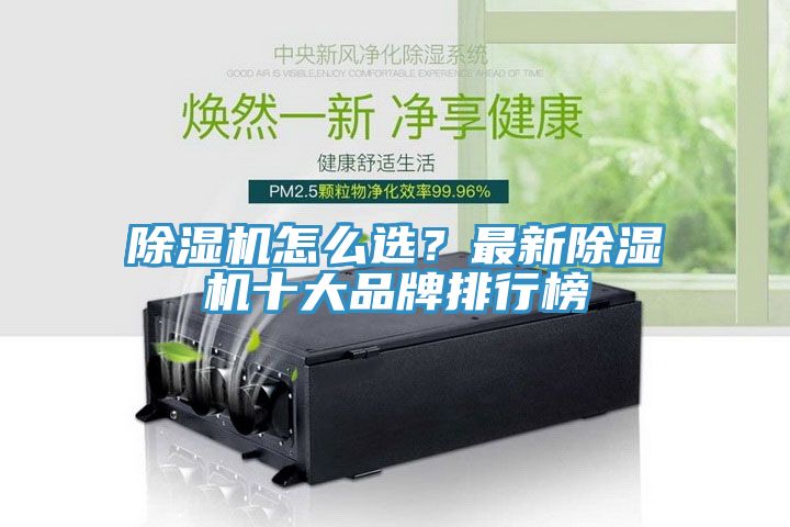 杏仁直播app最新版下载怎么选？最新杏仁直播app最新版下载十大品牌排行榜