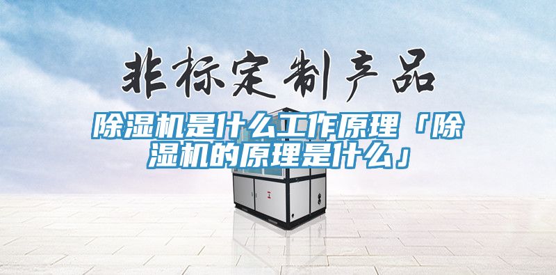 杏仁直播app最新版下载是什么工作原理「杏仁直播app最新版下载的原理是什么」