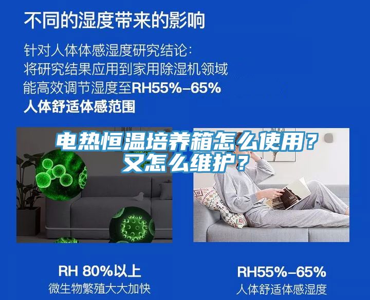 电热恒温培养箱怎么使用？又怎么维护？