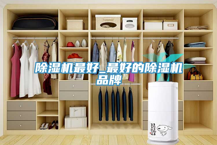 杏仁直播app最新版下载最好_最好的杏仁直播app最新版下载品牌