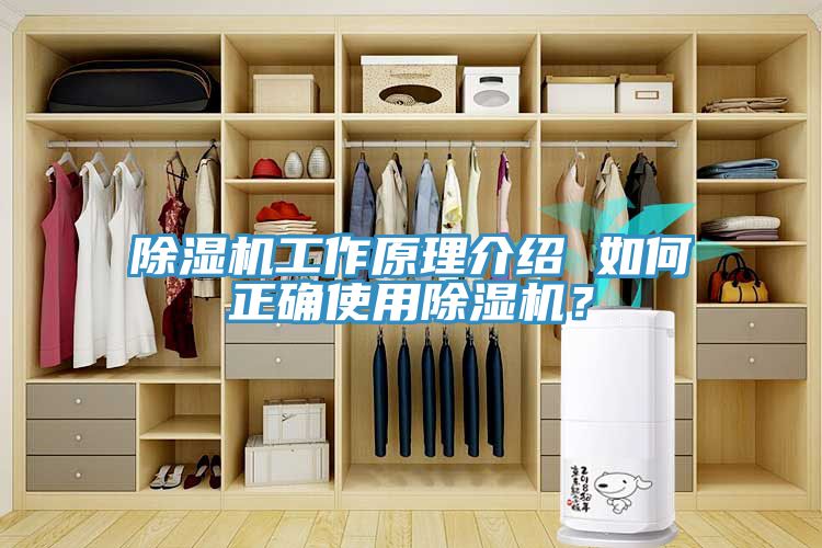 杏仁直播app最新版下载工作原理介绍 如何正确使用杏仁直播app最新版下载？