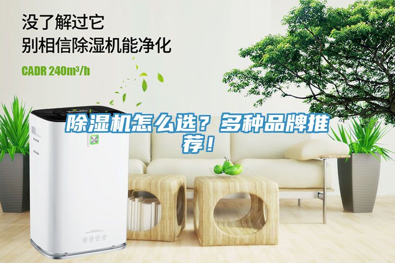 杏仁直播app最新版下载怎么选？多种品牌推荐！