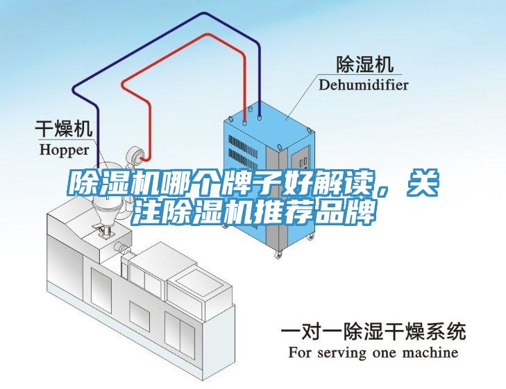 杏仁直播app最新版下载哪个牌子好解读，关注杏仁直播app最新版下载推荐品牌