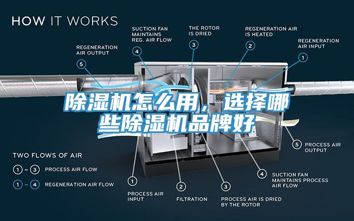 杏仁直播app最新版下载怎么用，选择哪些杏仁直播app最新版下载品牌好