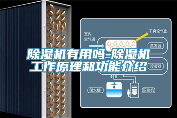 杏仁直播app最新版下载有用吗-杏仁直播app最新版下载工作原理和功能介绍