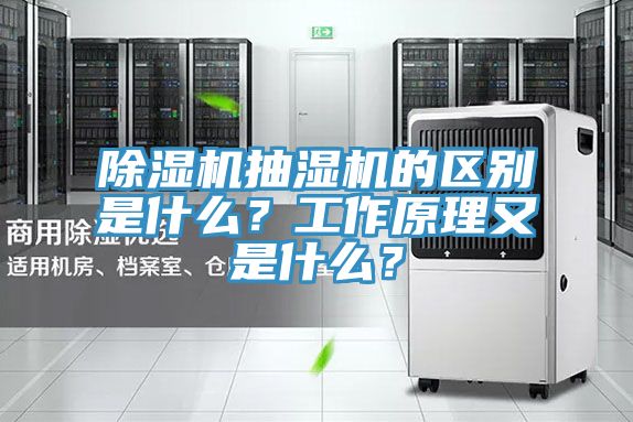 杏仁直播app最新版下载抽湿机的区别是什么？工作原理又是什么？