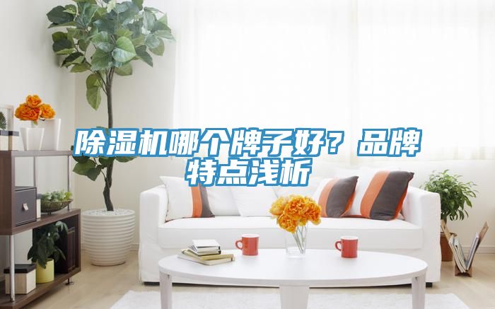 杏仁直播app最新版下载哪个牌子好？品牌特点浅析